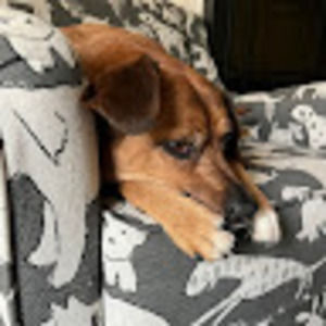 Meet your Posher, Alissa